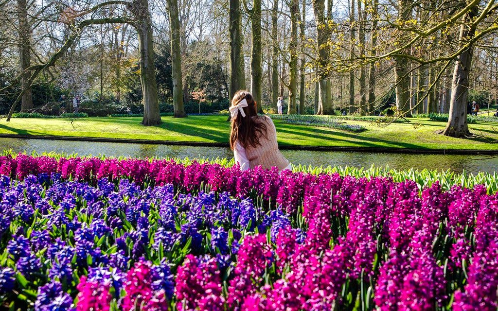 Keukenhof Entry Tickets Image 4