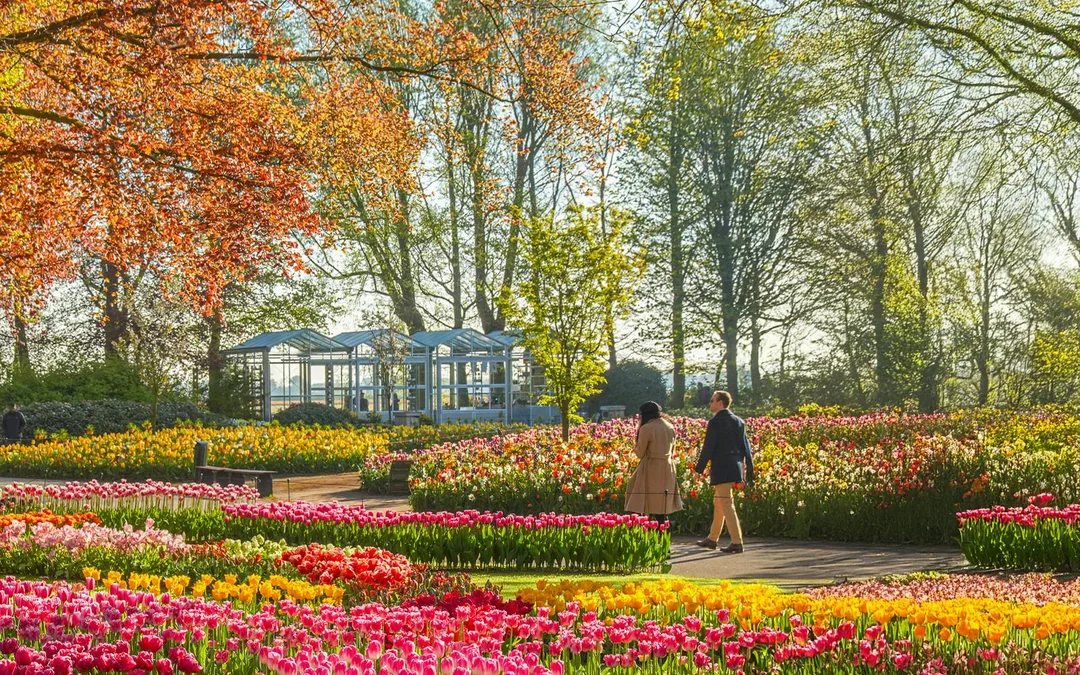 Keukenhof Entry Tickets Image 5