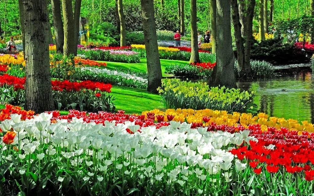 Keukenhof Entry Tickets Image 9