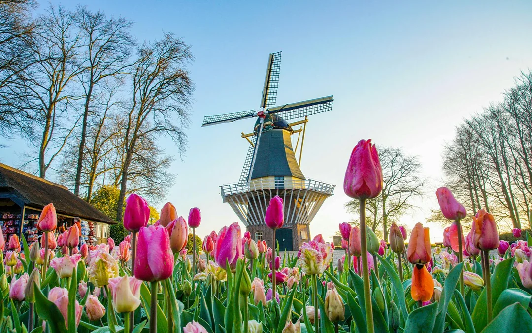 Keukenhof Entry with Transfers from Amsterdam Image 2