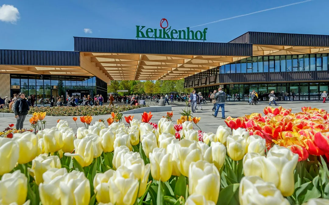Keukenhof Entry with Transfers from Amsterdam Image 3