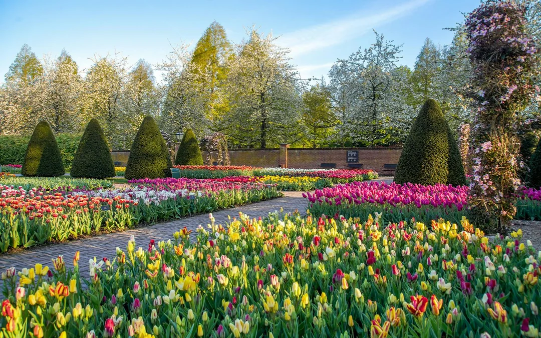 Keukenhof Entry with Transfers from Amsterdam Image 4