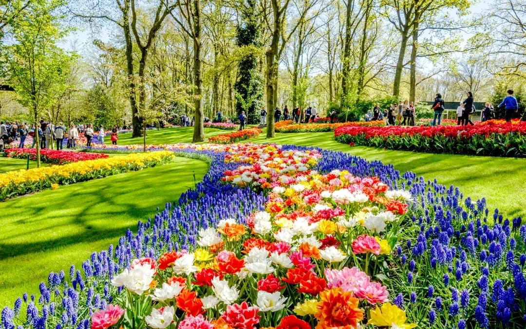 Keukenhof Entry with Transfers from Amsterdam Image 8