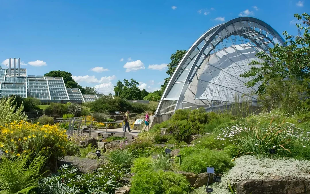 Kew Gardens Admission Ticket Image 5