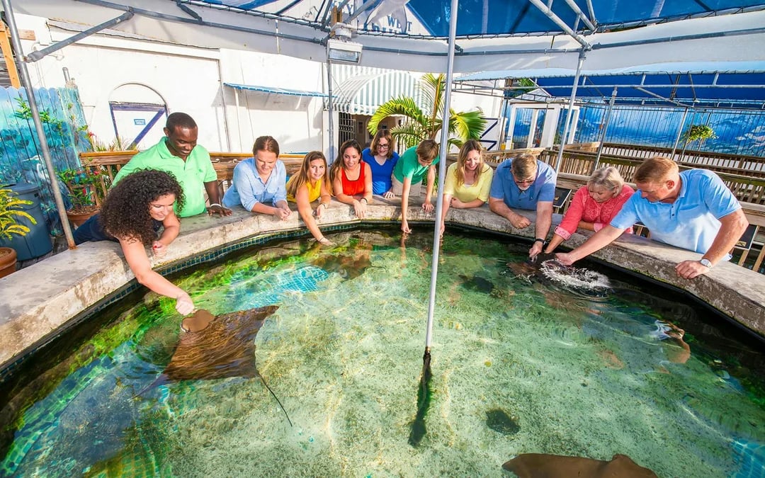 Key West Aquarium Image 2