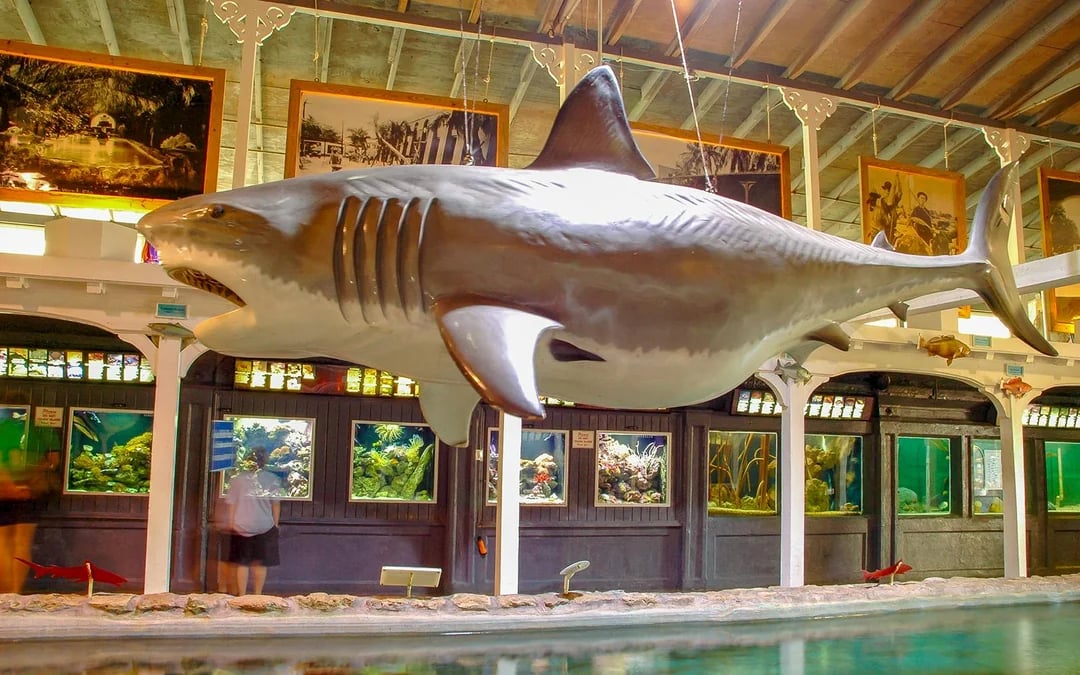 Key West Aquarium Image 4