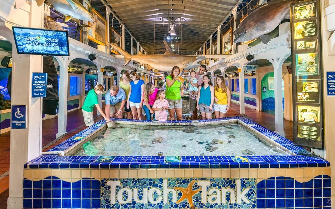 Key West Aquarium Image 5