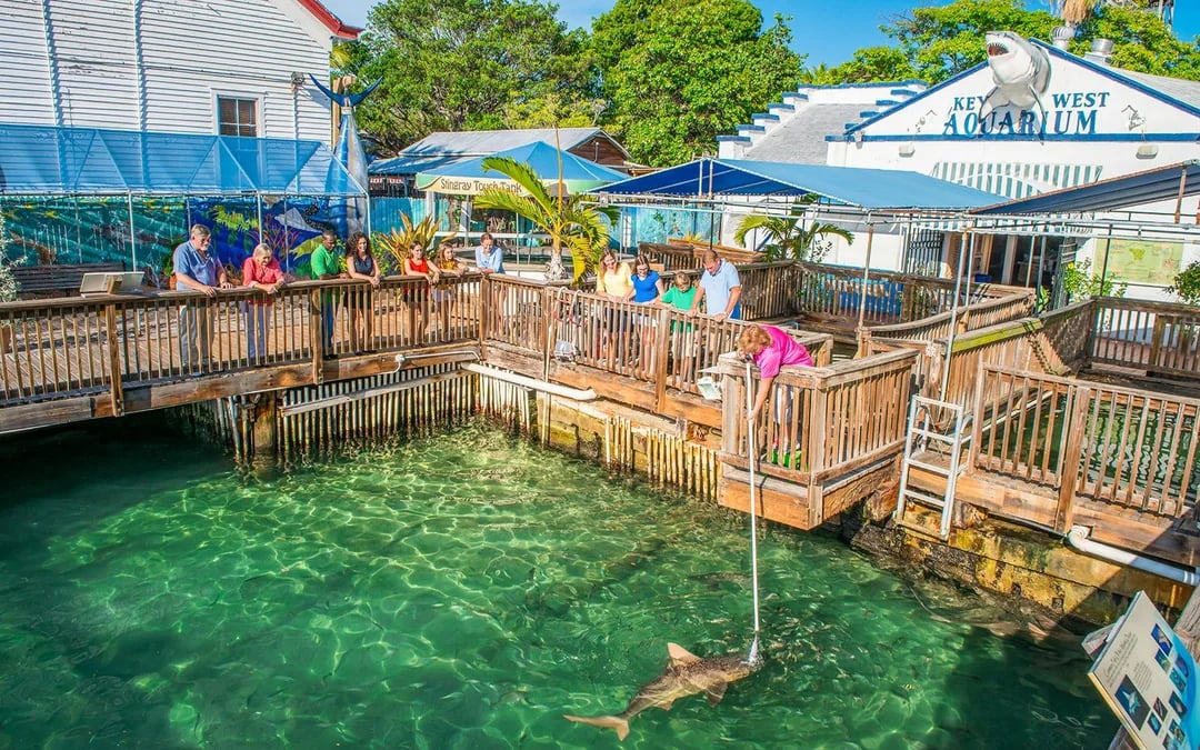 Key West Aquarium Image 8
