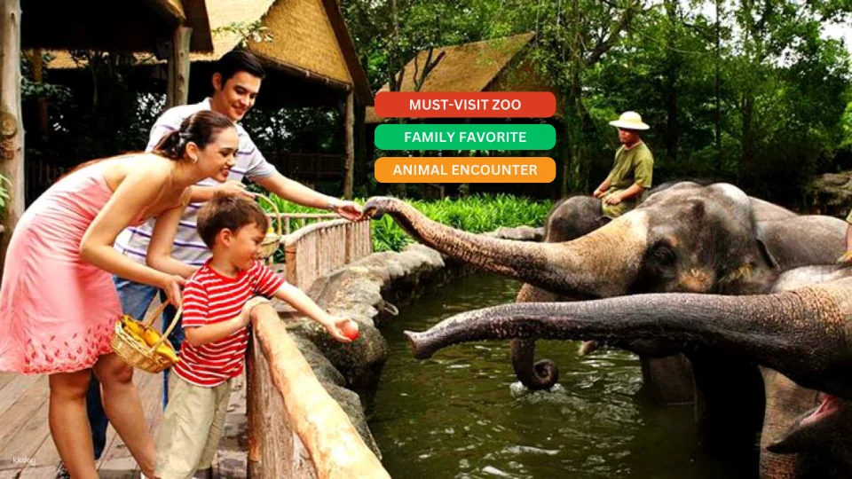 Khao Kheow Open Zoo Entrance Ticket | Thailand