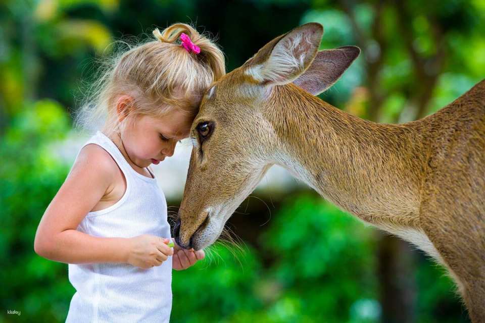 Khao Kheow Open Zoo Private Tour | Chonburi