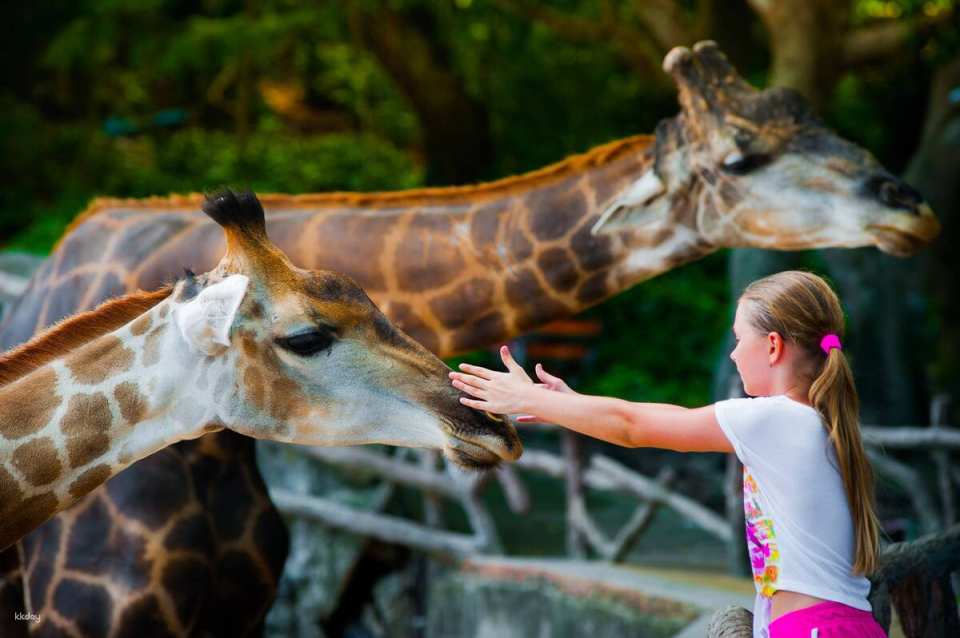 Khao Kheow Open Zoo Private Tour | Chonburi