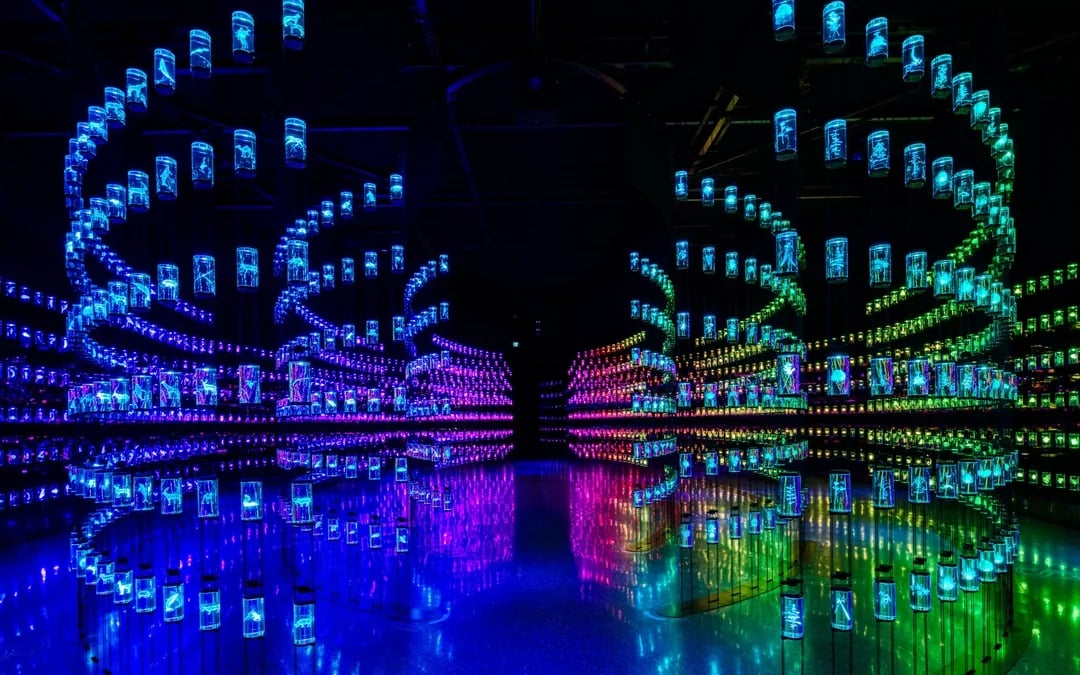 [Kids Go Free] Museum of The Future Dubai Tickets Image 3