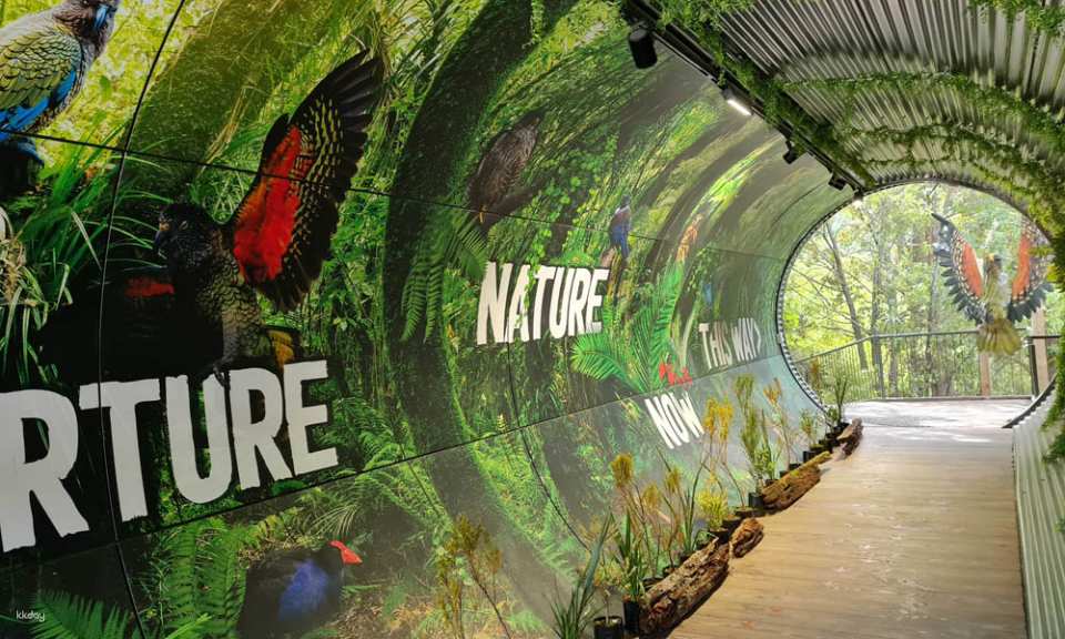 Kiwi Birdlife Park Queenstown Ticket | New Zealand