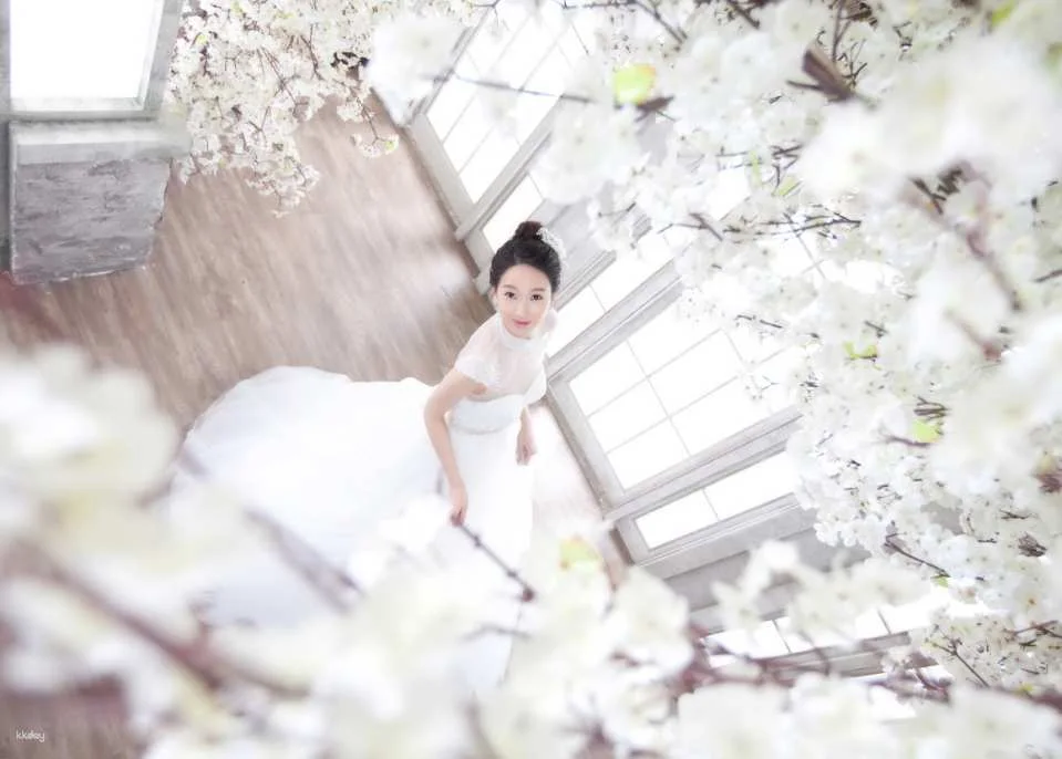 Wedding Photography or Engagement Photo Shoot in Korea