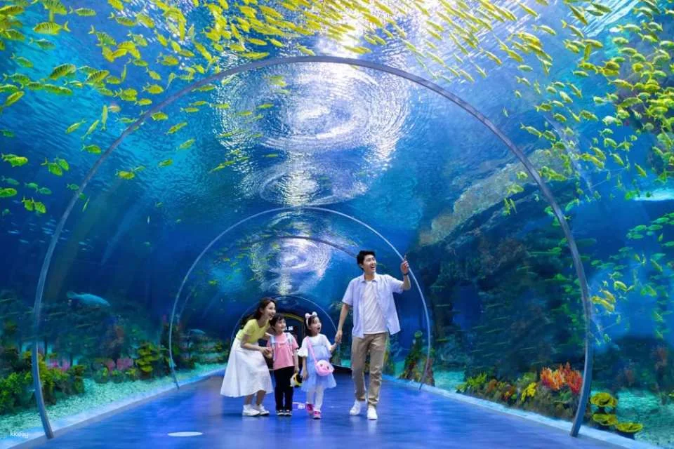 Shanghai Haichang Ocean Park: Admission Ticket | China