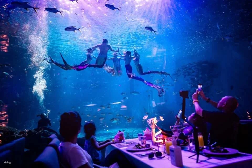 Shanghai Haichang Ocean Park: Admission Ticket | China