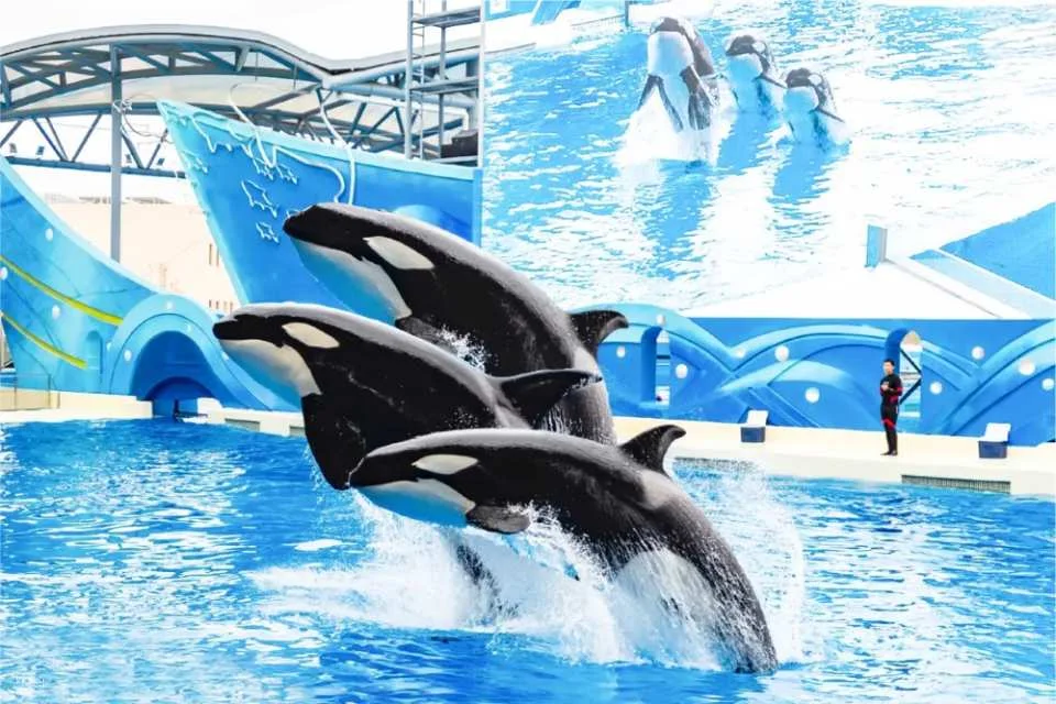 Shanghai Haichang Ocean Park: Admission Ticket | China