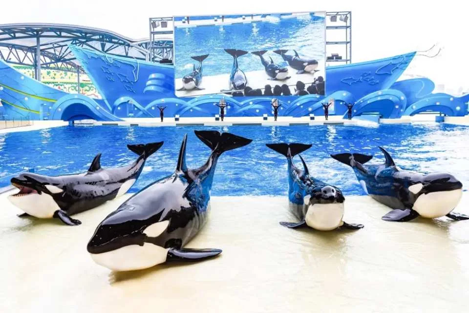 Shanghai Haichang Ocean Park: Admission Ticket | China