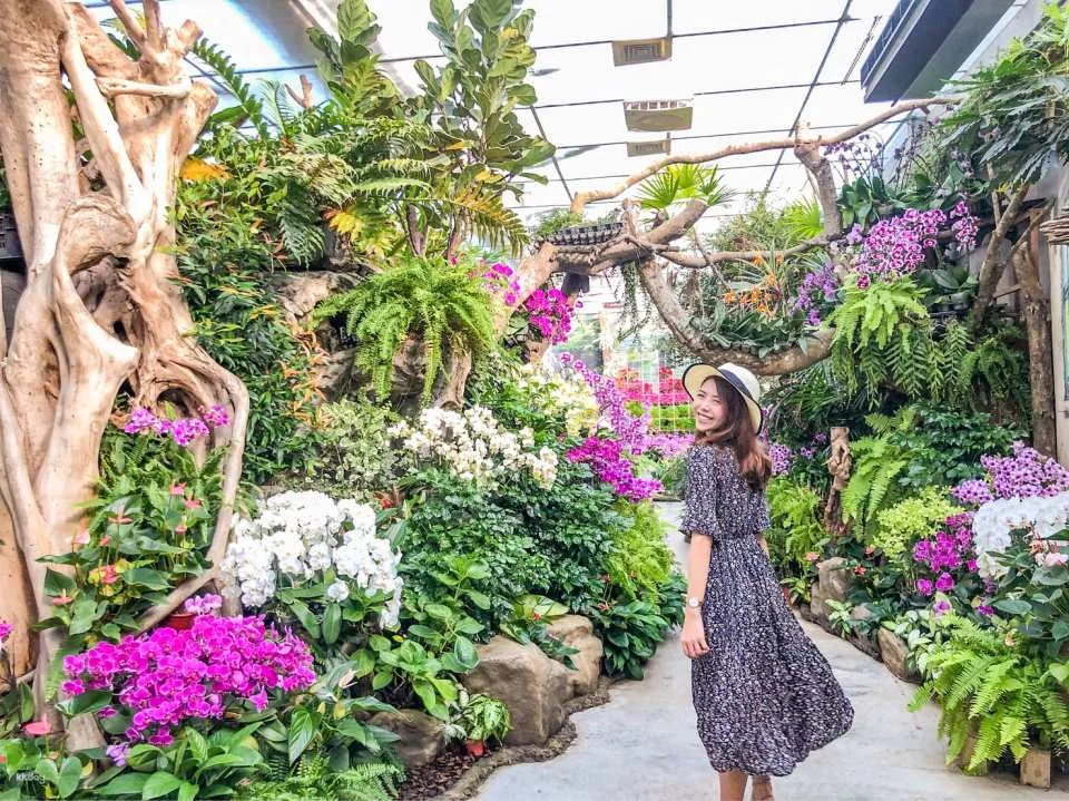 Miaoli Hualu Farm Tickets