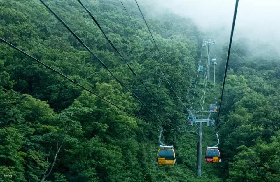 Balwangsan Cable Car & Skywalk Ticket at Yongpyong Ski Resort in Pyeongchang | Gangwon-do