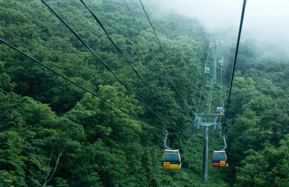 Balwangsan Cable Car & Skywalk Ticket at Yongpyong Ski Resort in Pyeongchang | Gangwon-do
