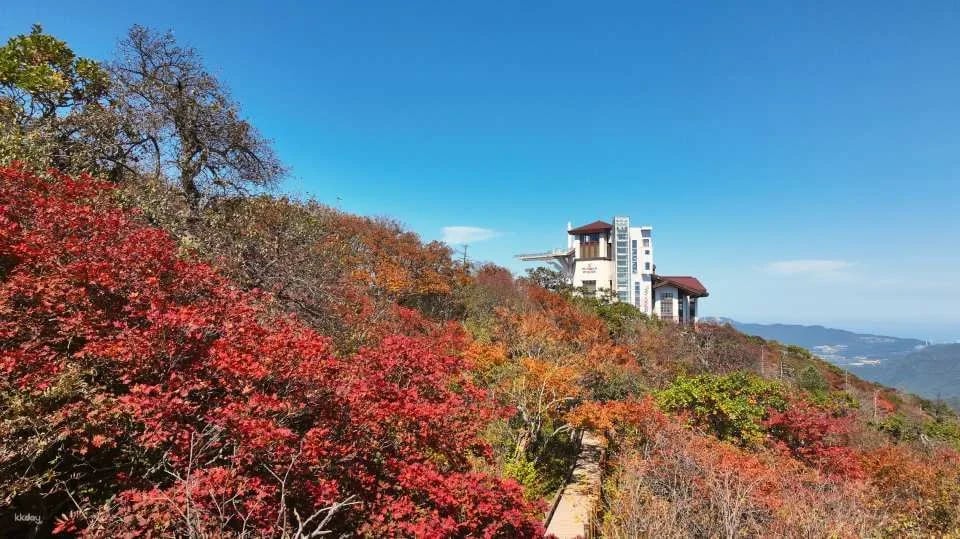 Balwangsan Cable Car & Skywalk Ticket at Yongpyong Ski Resort in Pyeongchang | Gangwon-do