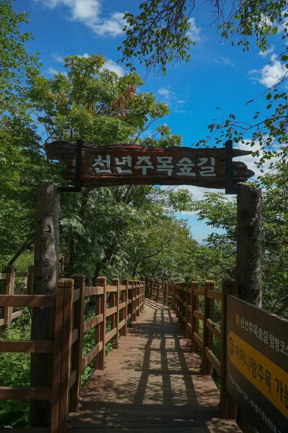 Balwangsan Cable Car & Skywalk Ticket at Yongpyong Ski Resort in Pyeongchang | Gangwon-do