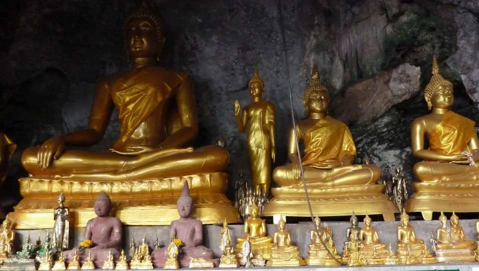 The Wonders of Thailand's Last Lowland Rainforest (116331)
