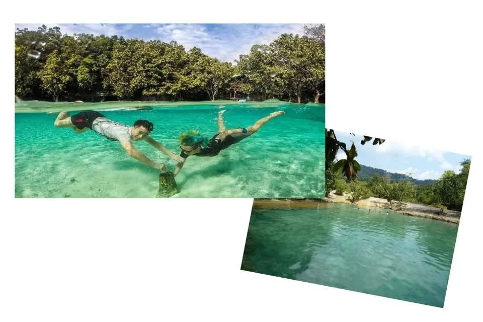 The Wonders of Thailand's Last Lowland Rainforest