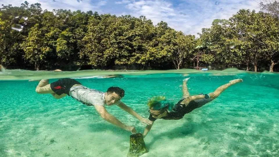 The Wonders of Thailand's Last Lowland Rainforest