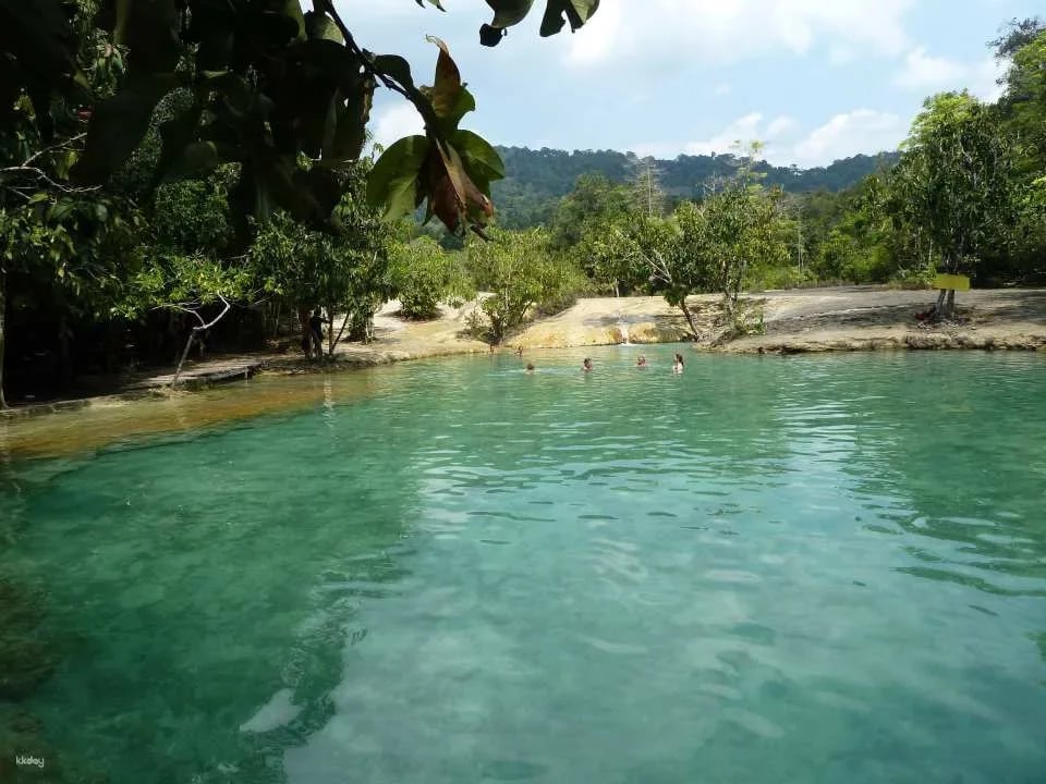 The Wonders of Thailand's Last Lowland Rainforest