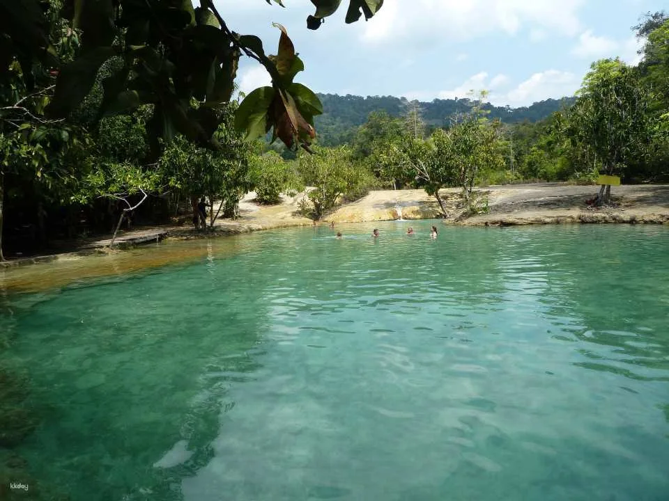 The Wonders of Thailand's Last Lowland Rainforest