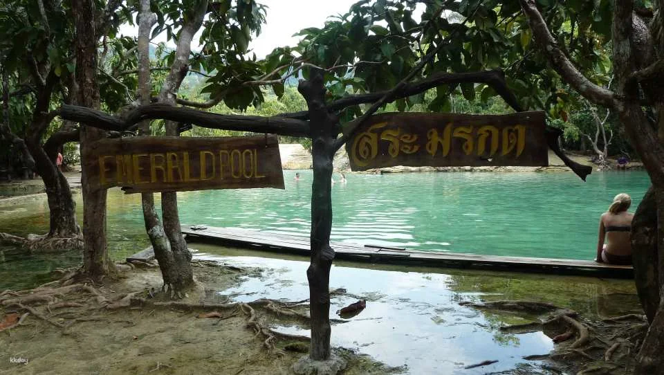The Wonders of Thailand's Last Lowland Rainforest