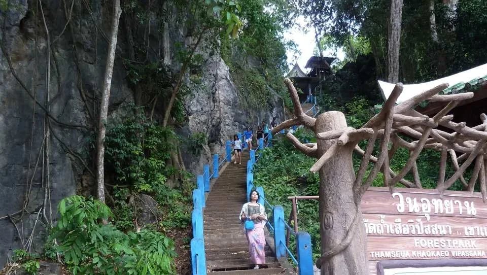 The Wonders of Thailand's Last Lowland Rainforest