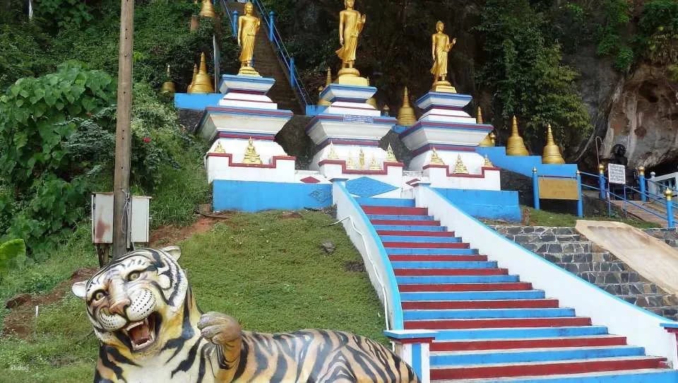 The Wonders of Thailand's Last Lowland Rainforest
