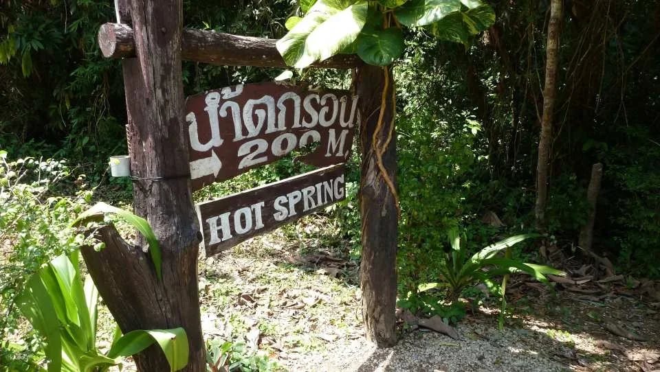 The Wonders of Thailand's Last Lowland Rainforest