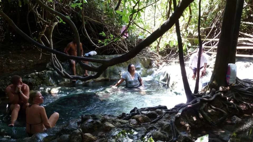 The Wonders of Thailand's Last Lowland Rainforest