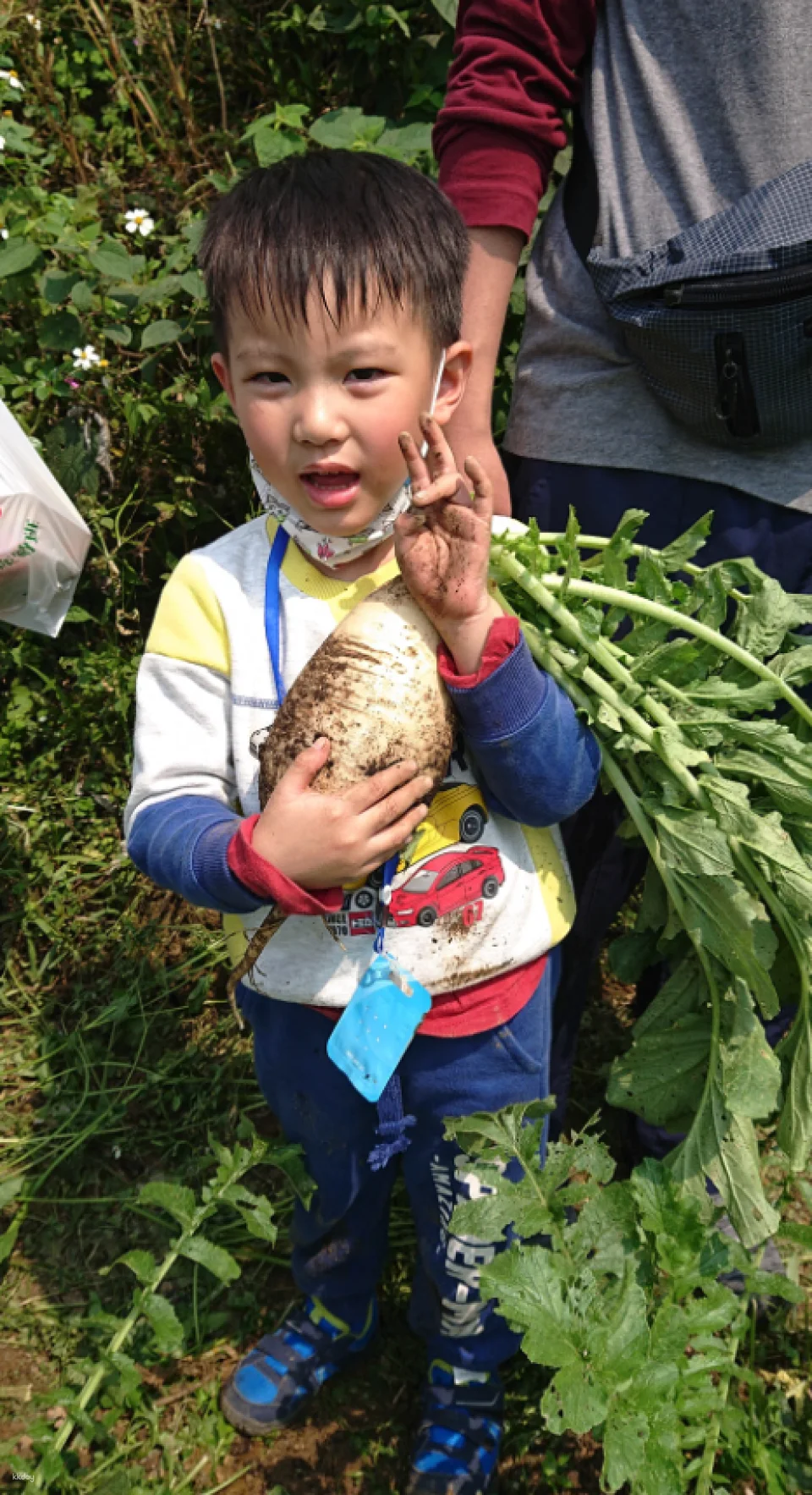Taipei｜Little Farmer Half-day Experience｜Carrot Pulling Experience & Carrot Cake Making DIY． Sweet potato pulling experience & sweet potato round making DIY｜Wild Grass Flower and Fruit Organic Farm