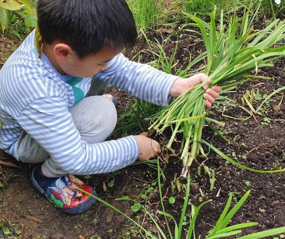 Taipei, Taiwan | One-day Little Farmer Experience | BBQ Kiln & Farming Experience & DIY Rice Snacks | Wild Grass Flower Fruit Organic Farm
