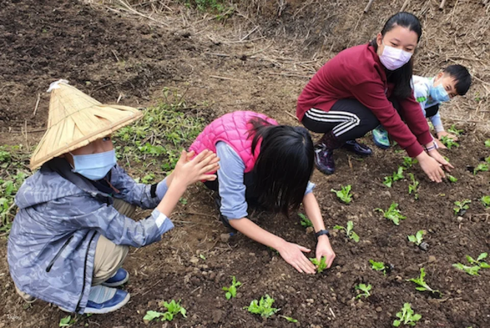 Taipei, Taiwan | One-day Little Farmer Experience | BBQ Kiln & Farming Experience & DIY Rice Snacks | Wild Grass Flower Fruit Organic Farm