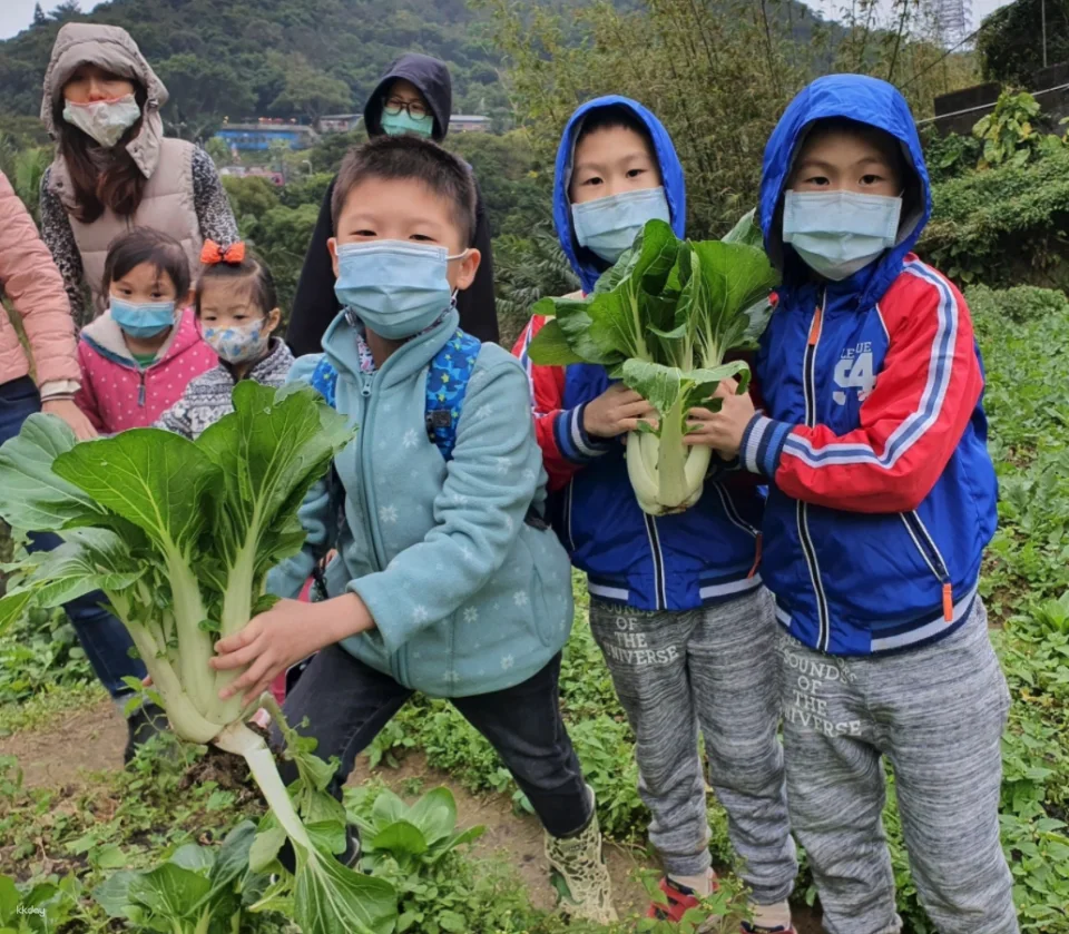 Taipei, Taiwan | One-day Little Farmer Experience | BBQ Kiln & Farming Experience & DIY Rice Snacks | Wild Grass Flower Fruit Organic Farm