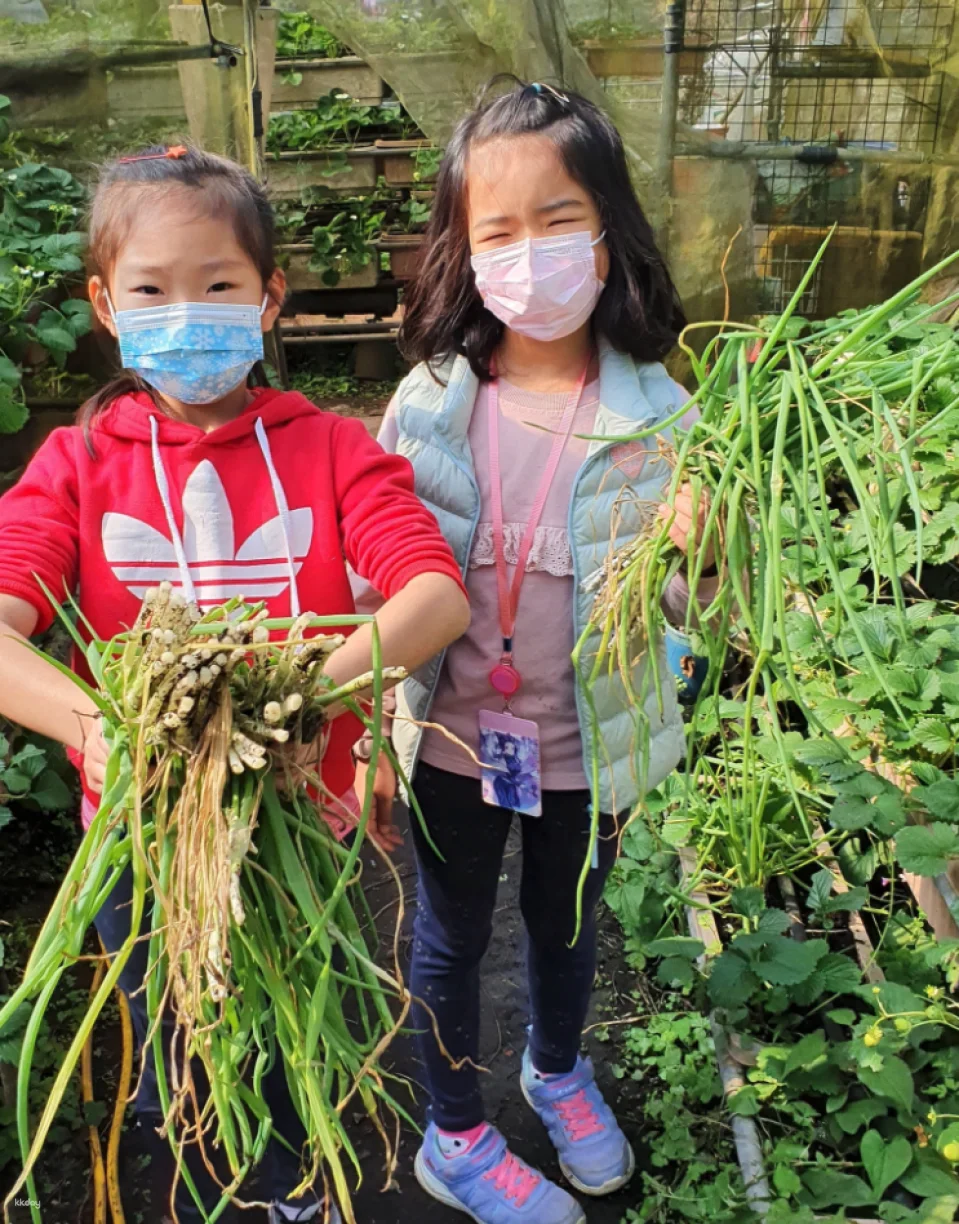 Taipei, Taiwan | One-day Little Farmer Experience | BBQ Kiln & Farming Experience & DIY Rice Snacks | Wild Grass Flower Fruit Organic Farm