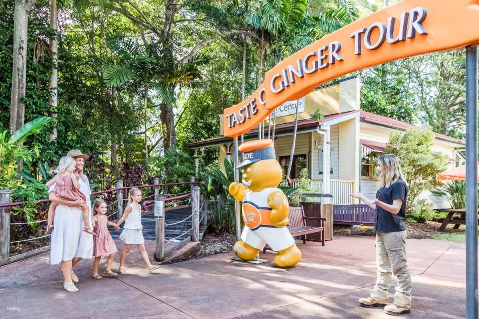The Ginger Factory Play Taste and Discover Bundle Ticket | Sunshine Coast