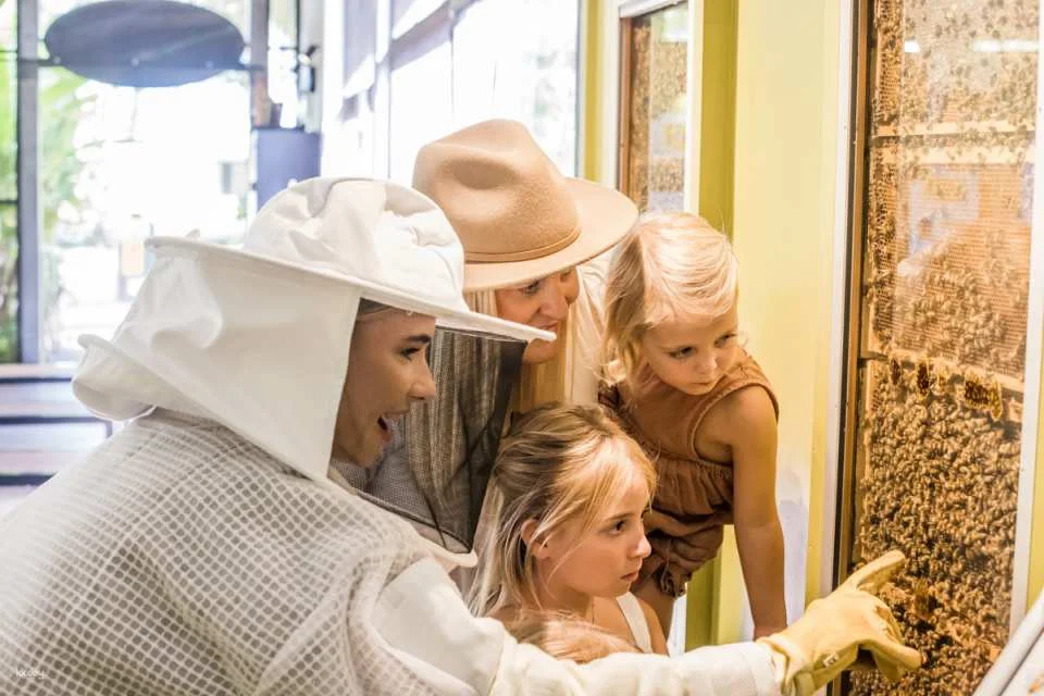 The Ginger Factory Play Taste and Discover Bundle Ticket | Sunshine Coast