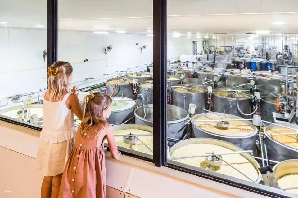 The Ginger Factory Play Taste and Discover Bundle Ticket | Sunshine Coast