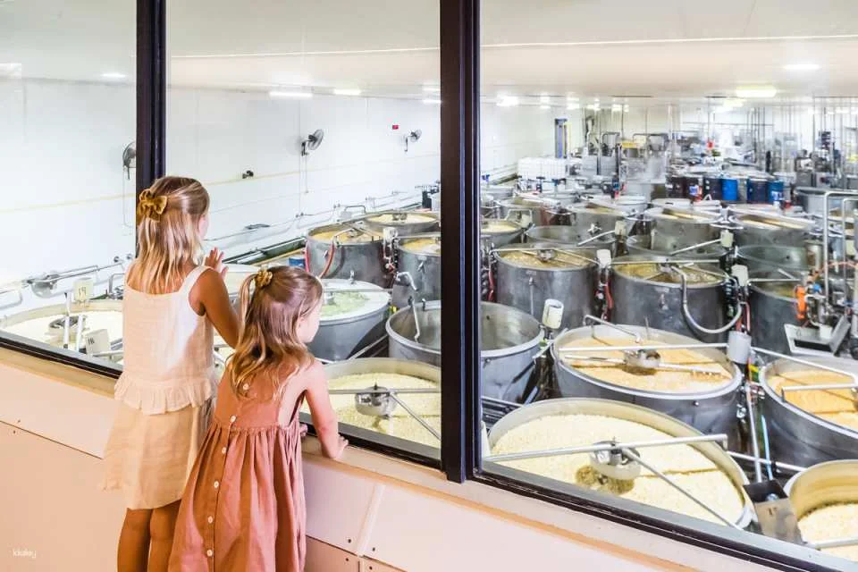 The Ginger Factory Play Taste and Discover Bundle Ticket | Sunshine Coast