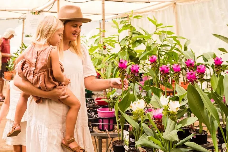 The Ginger Factory Play Taste and Discover Bundle Ticket | Sunshine Coast