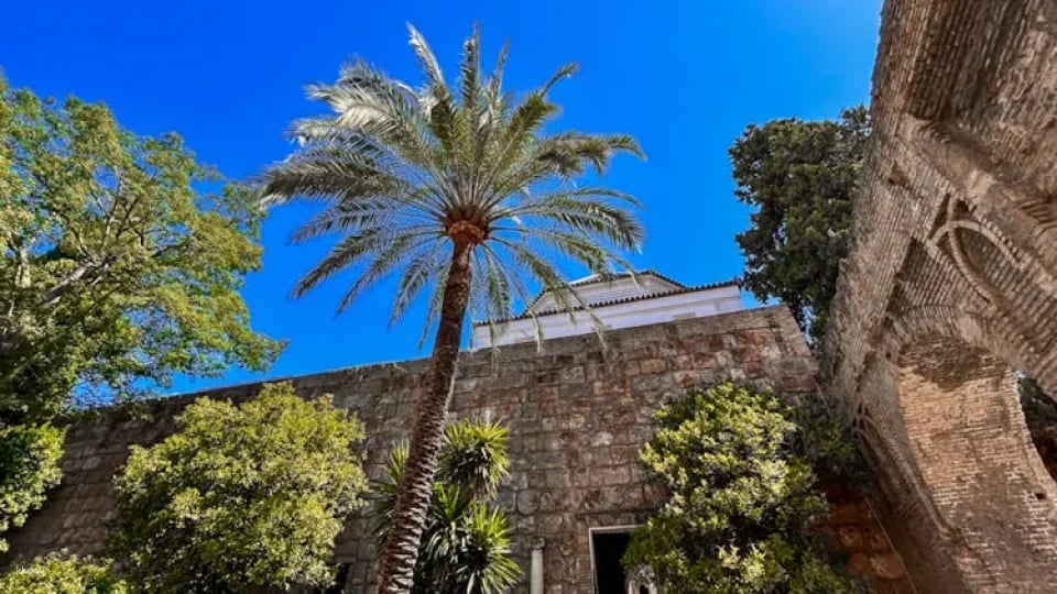 Alcázar and Cathedral of Seville skip-the-lines tickets and guided visit
