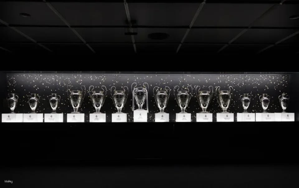 Madrid highlights tour with tickets to Santiago Bernabeu Stadium