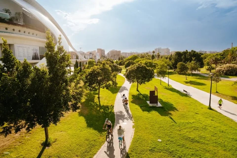 Valencia Tourist Card for 24, 48 or 72 hours